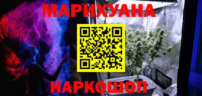 гашик Краснознаменск
