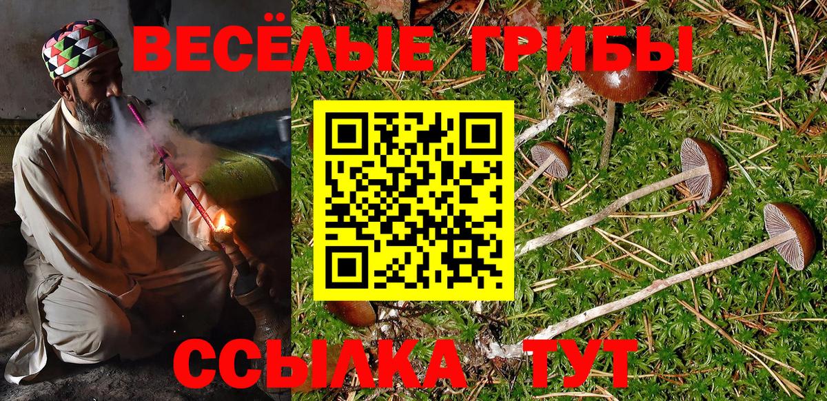 Псилоцибиновые грибы мухоморы Ишимбай
