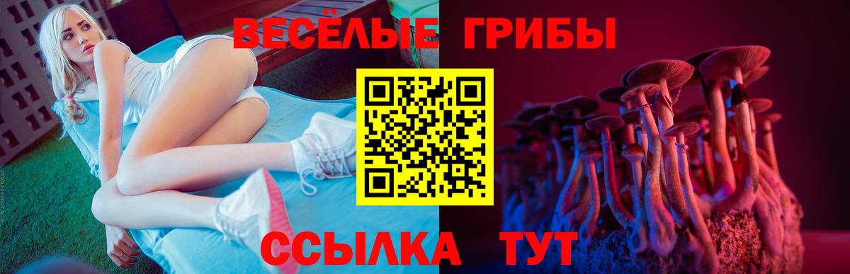 Галлюциногенные грибы GOLDEN TEACHER  Псилоцибиновые грибы MAGIC MUSHROOMS  Вход с VPN  Ишимбай 